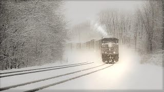 Twilight Relaxing Train Sounds And Blizzard Howling [upl. by Hahn]