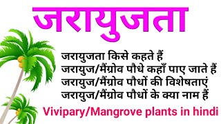 vivipary in plants  mangrove forest in hindi  mangroves  viviparous germination  जरायुजता hindi [upl. by Sharla]