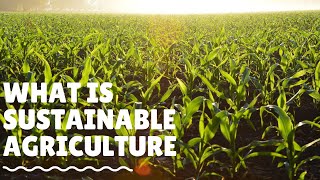 What is Sustainable Agriculture And How We Practice It [upl. by Alaekim]