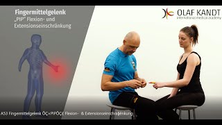 Fingermittelgelenk PIP Flexion amp Extensionseinschränkung [upl. by Yrruc168]