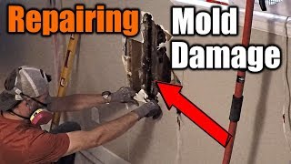 How To Repair Mold Damaged Walls  THE HANDYMAN [upl. by Bowes]