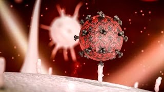 A potential cure for HIV [upl. by Dodge]