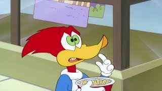 Woody Woodpecker Show  Dr Buzzards Time Chamber  Full Episode  Videos For Kids HD [upl. by Yeneffit]