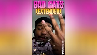 2gaudy 637godwin  Bad Cats Extended Unreleased Song [upl. by Erdnaxela27]