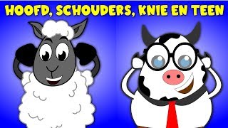 Hoofd Schouder Knie en teen  Head shoulders knees and toes in Dutch  Nederlandse kinderliedjes [upl. by Ellerol]