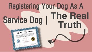 Registering Your Dog As A Service Dog  The Real Truth [upl. by Vic]