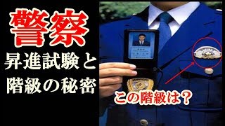 警察官の階級と昇進試験の秘密 [upl. by Arelus861]