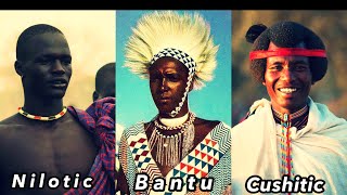 BantuNilotic and Cushitic [upl. by Ynar]