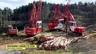 Madill 124 Swing Yarder  Rosewarne Logging Ltd [upl. by Emorej]