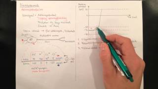 Nervsystemet aktionspotentialen [upl. by Nreval]