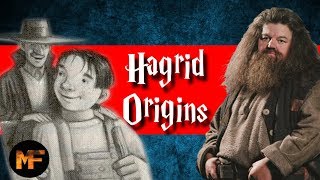 Rubeus Hagrid Origins Explained [upl. by Apps]