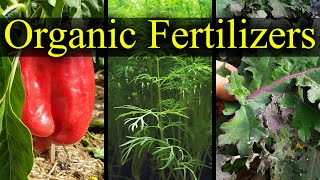 Organic Fertilizers  My Top 5 Choices For 2021 [upl. by Aiouqes]