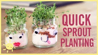 PLAY  3 quotQuick Sproutquot Planting Activities [upl. by Alfredo]