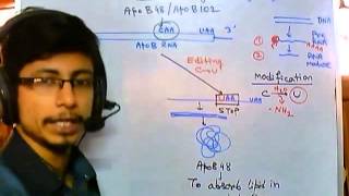 RNA editing mechanism [upl. by Silyhp]