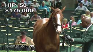 Justify as a Keeneland September Yearling [upl. by Regni412]