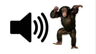 Monkey  Sound Effect [upl. by Reinaldo616]