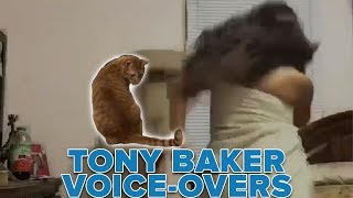 OFFICIAL Tony Baker Voice Over  Cats Be Judging You [upl. by Ocisnarf689]