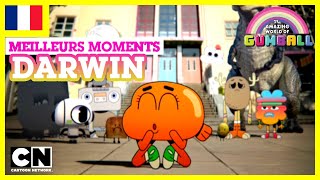 Le Monde Incroyable de Gumball 🇫🇷  Les meilleurs moments de Darwin 1 [upl. by Rahab]