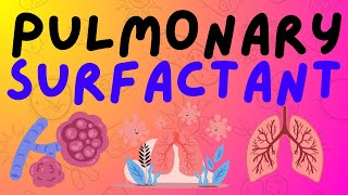 The Respiratory System Pulmonary Surfactant [upl. by Nahama939]