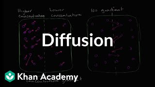 Diffusion  Membranes and transport  Biology  Khan Academy [upl. by Elyc]