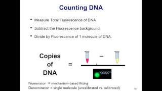 How to achieve Absolute quantification in qPCR  CopyCountCNV software [upl. by Coveney]