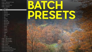 BATCH Apply Presets in Lightroom Classic [upl. by Dawn]