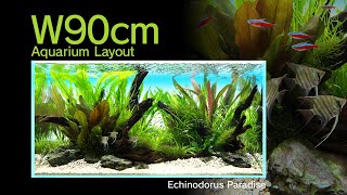 ADAview Echinodorus Paradise エキノドルス・パラダイス W90cm Aquarium Layout【ENJP Sub】 [upl. by Anallise]