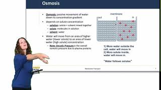 Cell Physiology Membrane Transport [upl. by Amaso823]