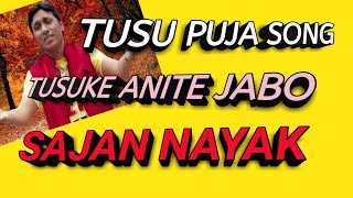 TUSU KE ANITE JABO TUSU SONG টুচু গীত  SAJAN NAYAK [upl. by Anirtik213]