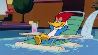 Woody Woodpecker Show  Bavariannoying  Full Episode  Cartoons For Children HD [upl. by Kayle819]