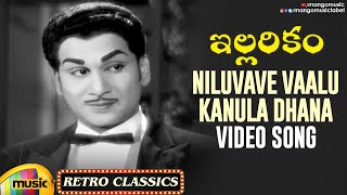 Niluvave Vaalu Kanula Daana Video Song  Illarikam Movie  ANR  Jamuna  Old Telugu Hit Songs [upl. by Sascha]