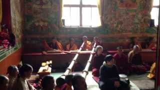 Tibetan Buddhist monks chanting in monastery in Nepal during a special puja [upl. by Amocat61]