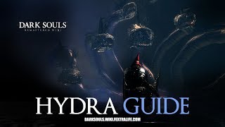 Hydra Mini Boss Guide  Dark Souls Remastered [upl. by Ehcrop994]