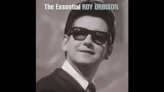 Roy Orbison  I Drove All Night [upl. by Adranoel]