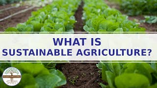 Sustainable Farming Explainer Video Sustainable Agriculture [upl. by Amiarom]