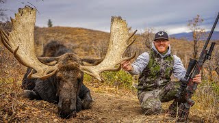 ONCE IN A LIFETIME UTAH MOOSE [upl. by Amsirp834]