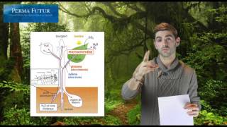 Biologie végétale  Comprendre les plantes [upl. by Cherie793]