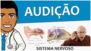 Sistema Nervoso 18 – Anatomia e Fisiologia da audição  Vídeo aula [upl. by Lai]