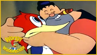 Woody Woodpecker classic  The Loose Nut  Woody Woodpecker Full Episode  Remastered [upl. by Scornik]