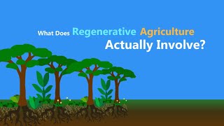 What is Regenerative Agriculture [upl. by Adar]