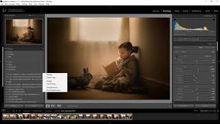 INSTALL PRESETS NEW LIGHTROOM CLASSIC [upl. by Ivo359]