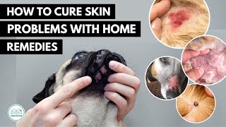 How To treat 5 Skin infection in dogs 🐕 with home remedies [upl. by Rosenkrantz]