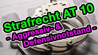 Aggressiv und Defensivnotstand §§ 228 904 BGB  Strafrecht AT 10 [upl. by Radley335]