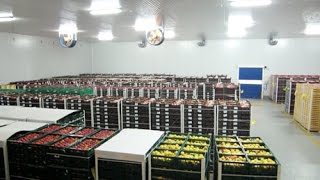 FRUTAS Almacenamiento conservación y control de calidad [upl. by Wachtel]