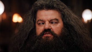 MAD HAGRID 2 [upl. by Demaria]