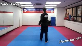 Taekwondo  Poomsae 3 Sam Jang Slowmotion amp Mirror [upl. by Gladdy]