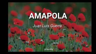 Amapola  Juan Luis Guerra  Letra [upl. by Selima282]