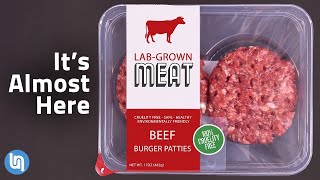 The Future of Meat  Lab Grown Meat Explained [upl. by Belloir]