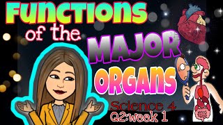 Q2 Science 4 Week 1  Functions of the Major Organs [upl. by Aindrea]