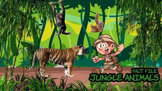 Jungle Animals  Fact File  Learning Jungle Animals for Kids  Walking in the Jungle Song [upl. by Mortensen676]